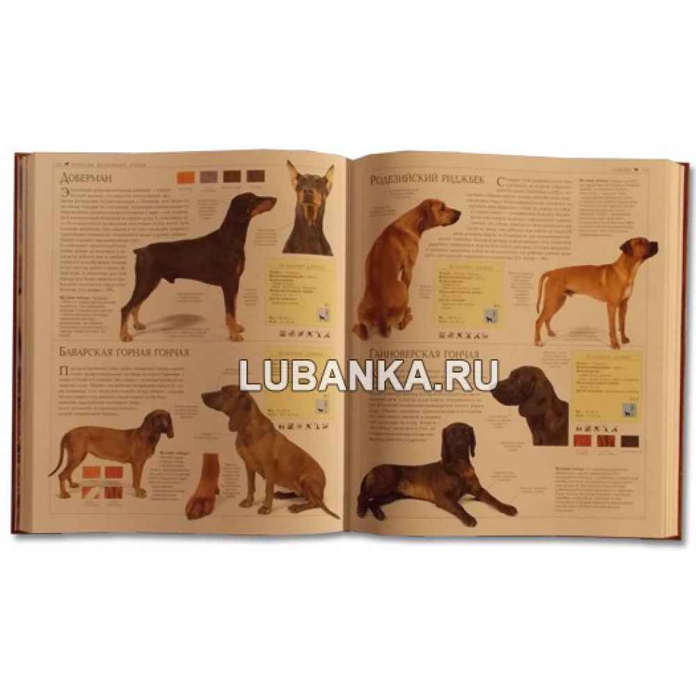 Книга «Собаки»